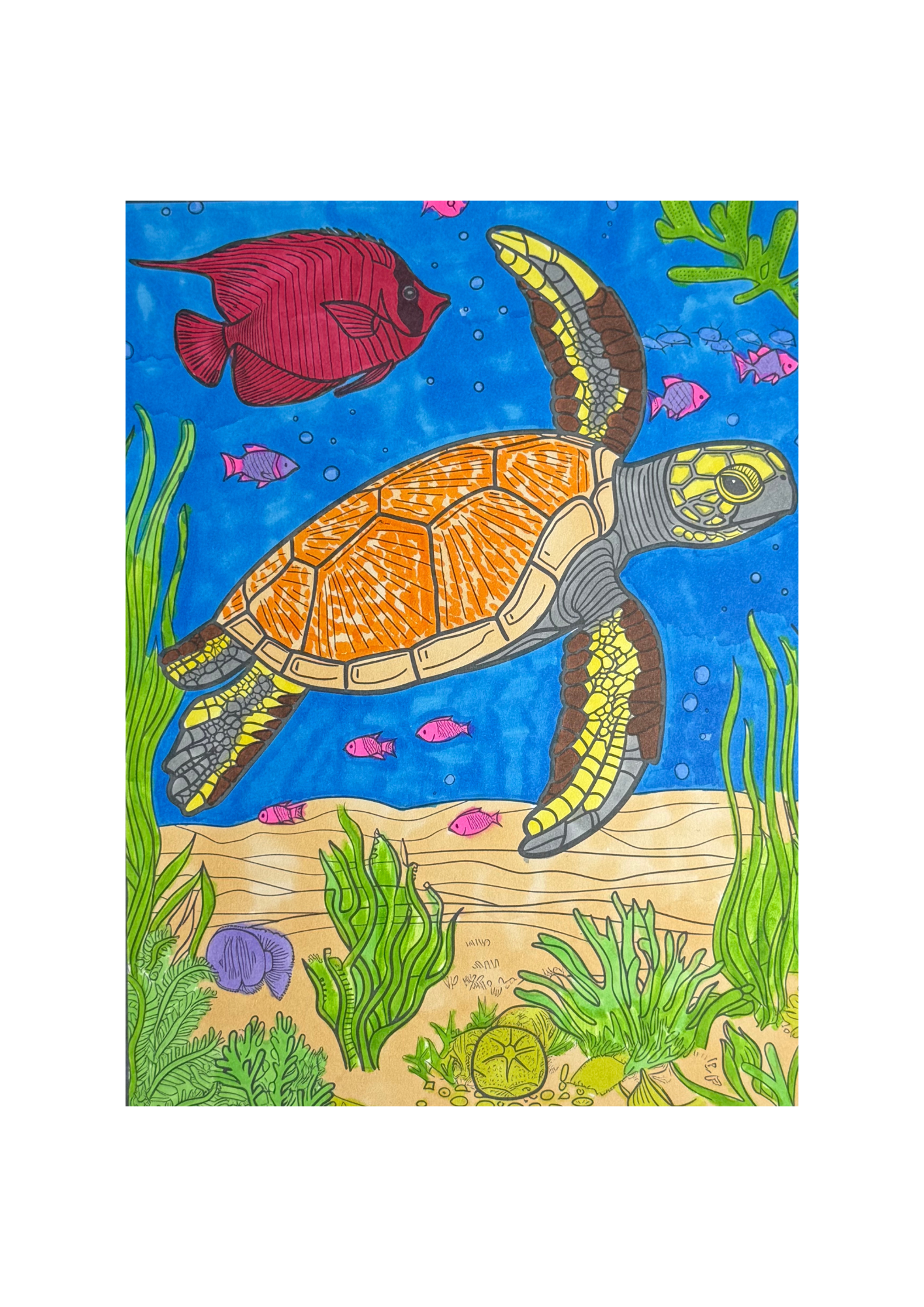 Ocean Wanderers Art Print