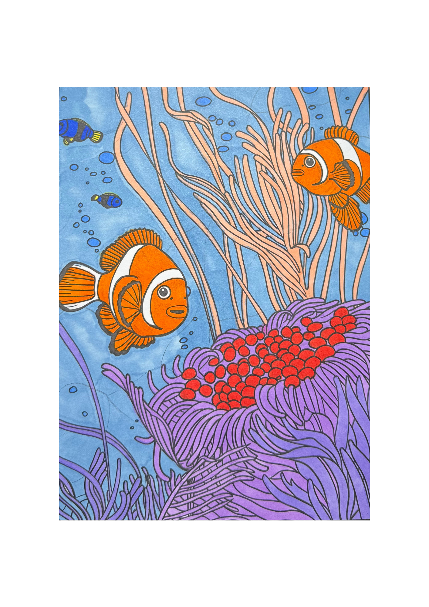 Anemone Haven Art Print