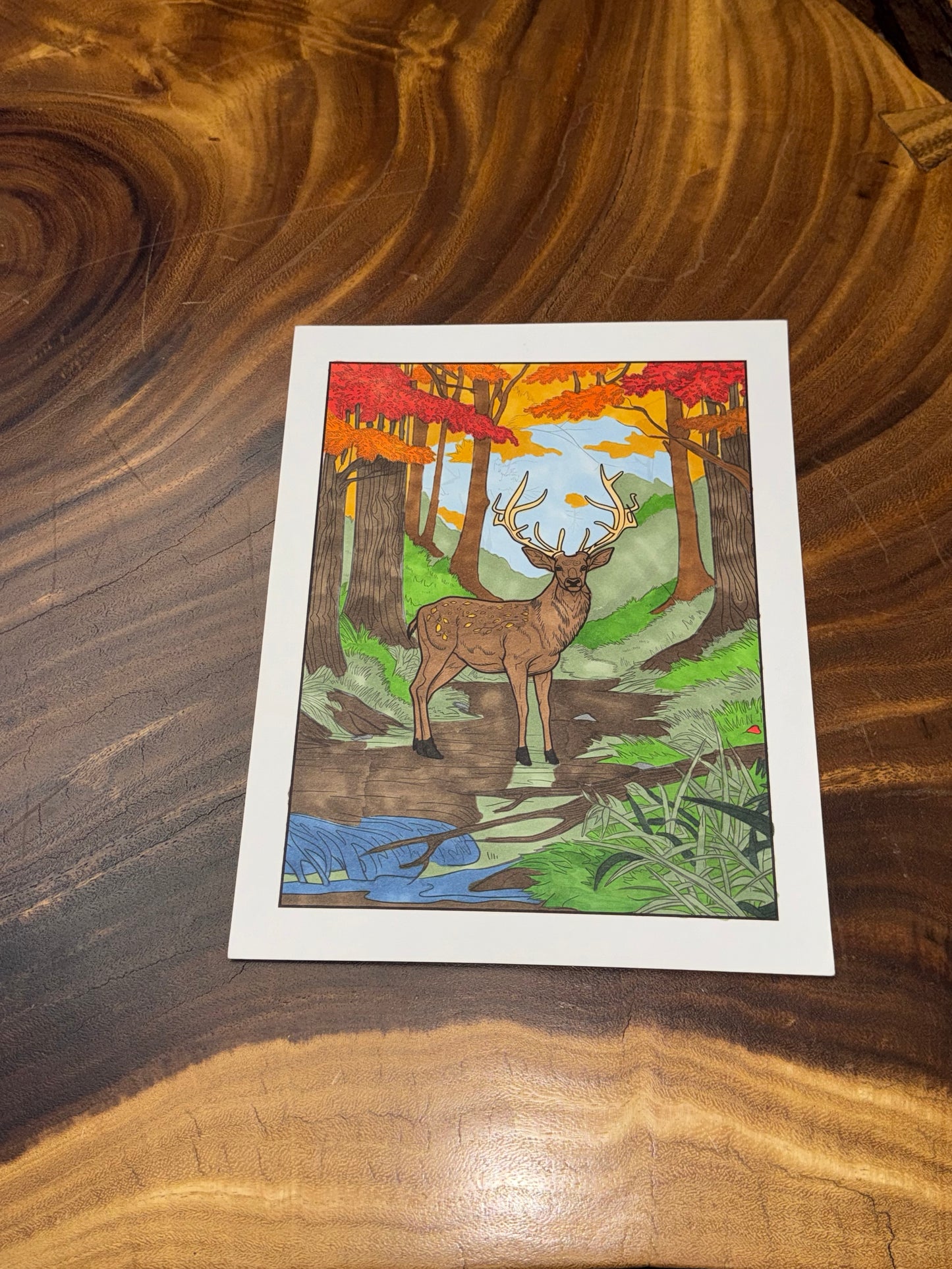 Zen Animals Coloring Book