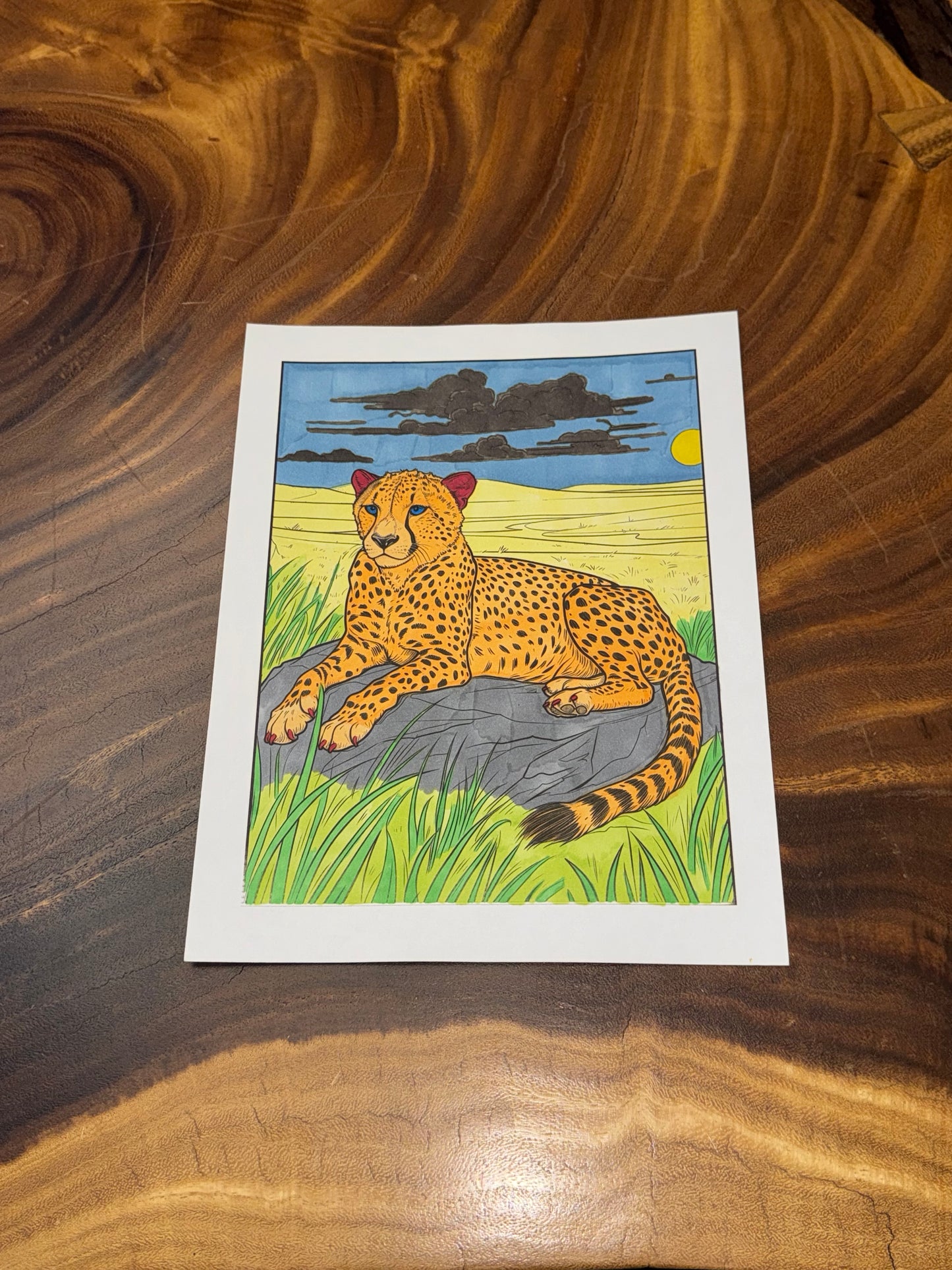 Zen Animals Coloring Book