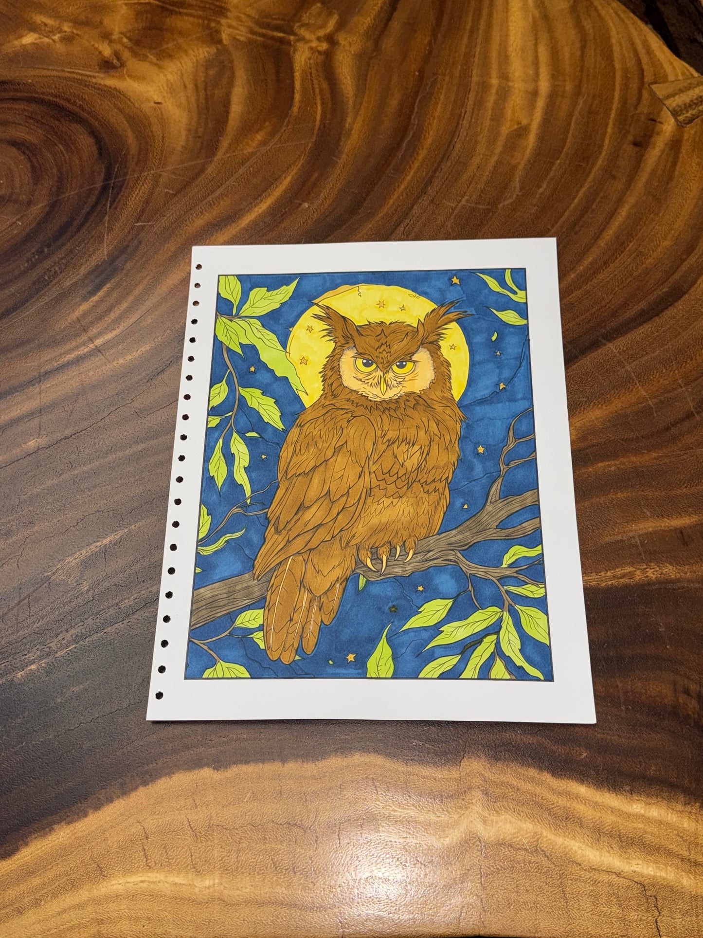 Zen Animals Coloring Book
