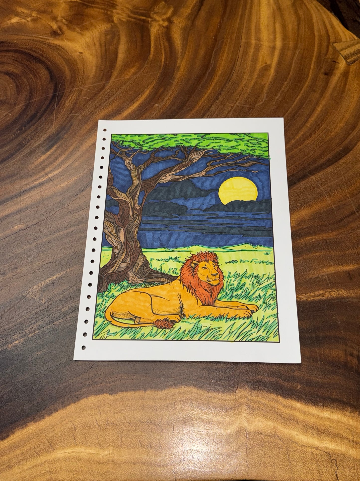 Zen Animals Coloring Book