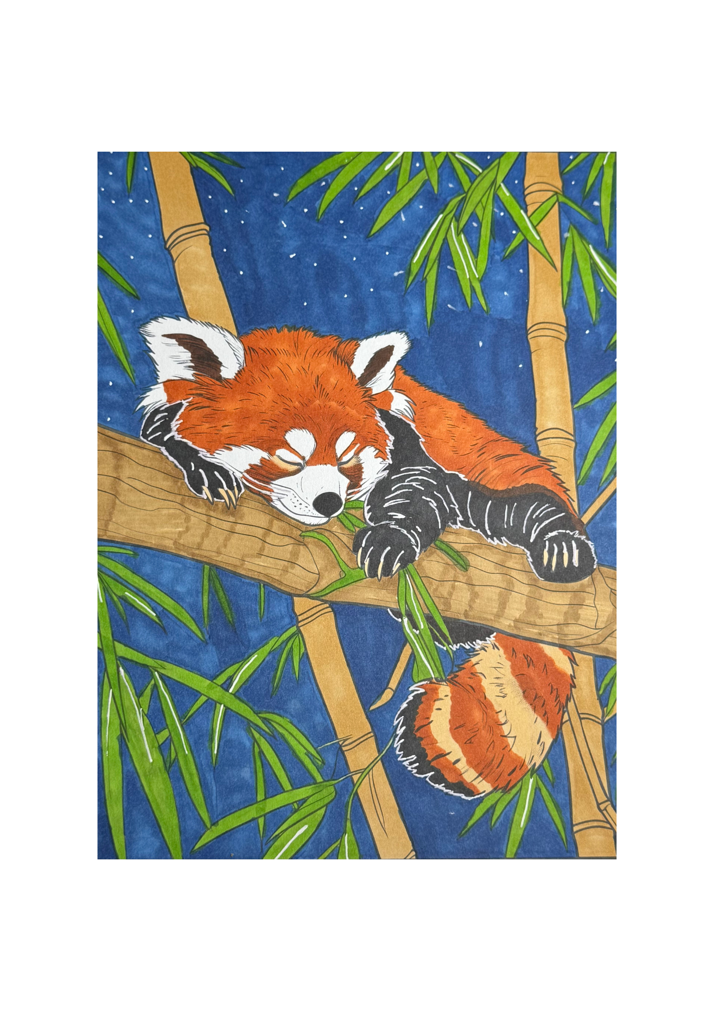 Snoozing Red Panda Art Print