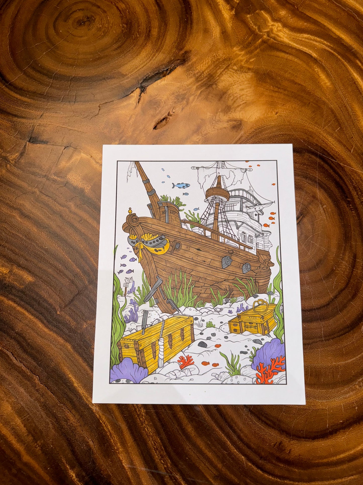 Under the Sea Anxiety Relief Coloring Book