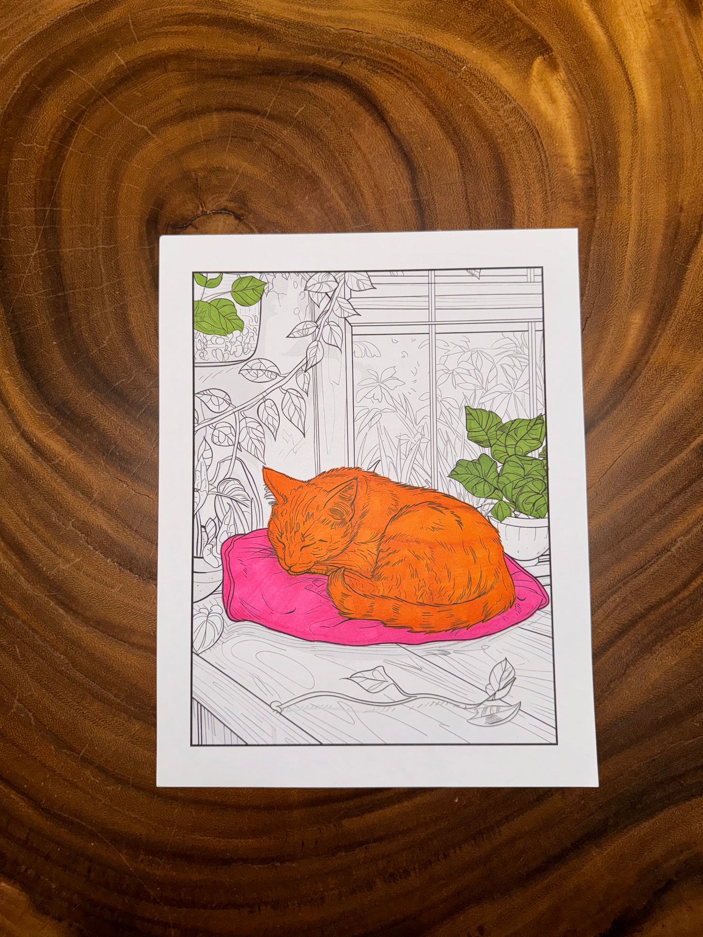 Zen Animals Coloring Book