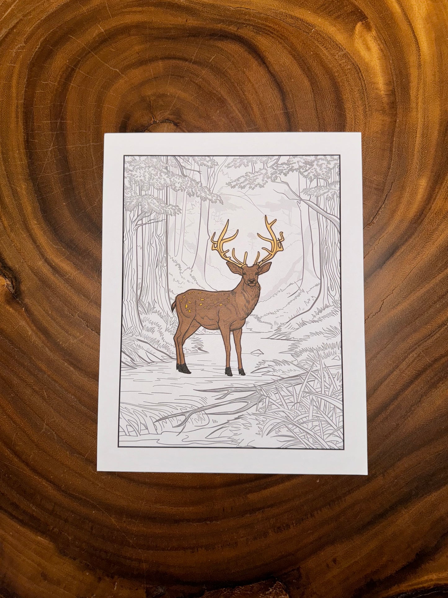 Zen Animals Coloring Book