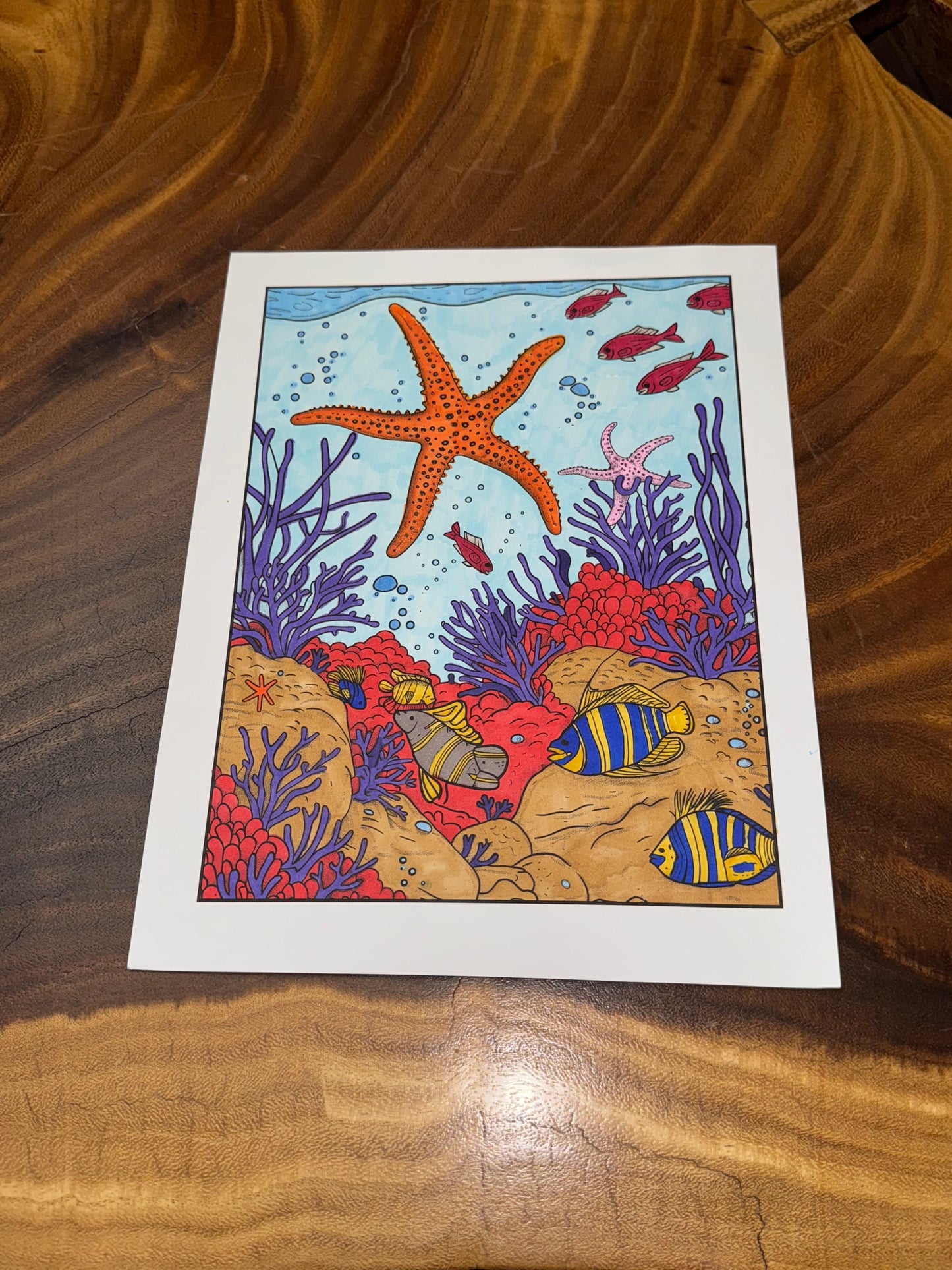 Under the Sea Anxiety Relief Coloring Book