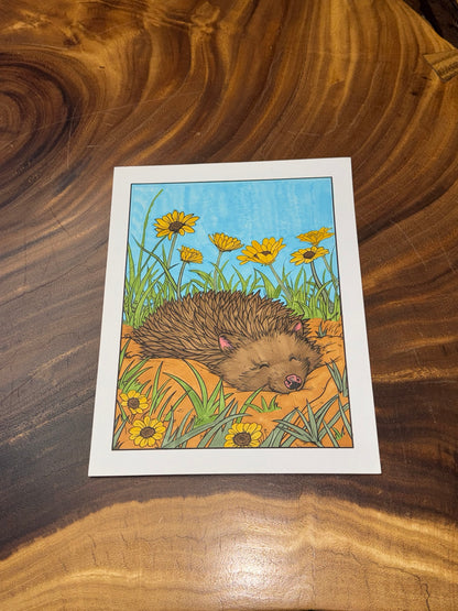 Zen Animals Coloring Book